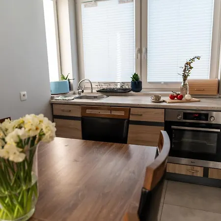Holiday home Siedlisko Pod Brzozami Sasino